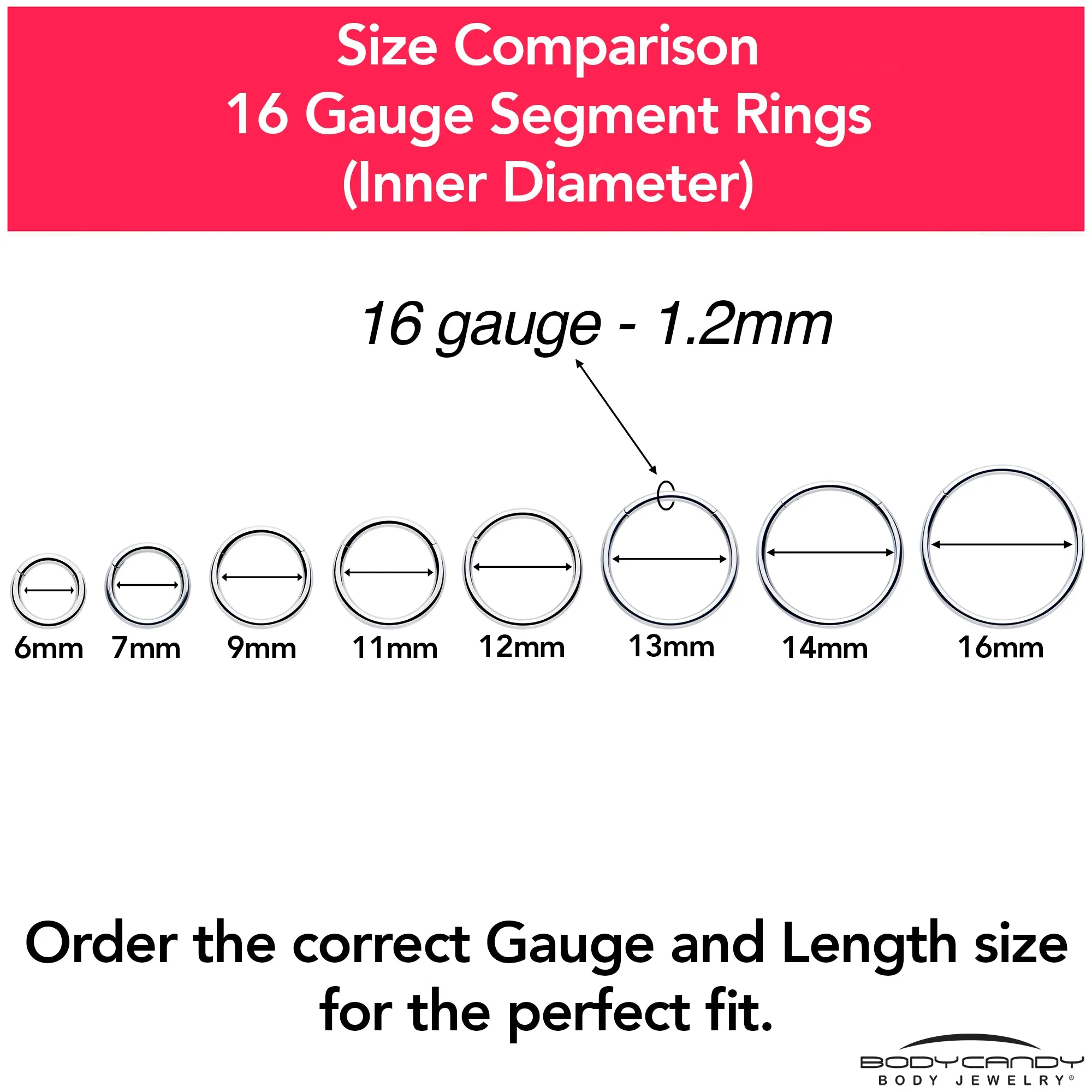 16 Gauge 1/4 316L Surgical Steel Precision Hinged Segment Hoop
