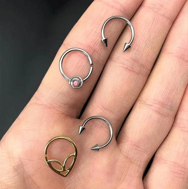 16 Gauge 3/8 Stainless Steel Spike Horseshoe Circular Barbell