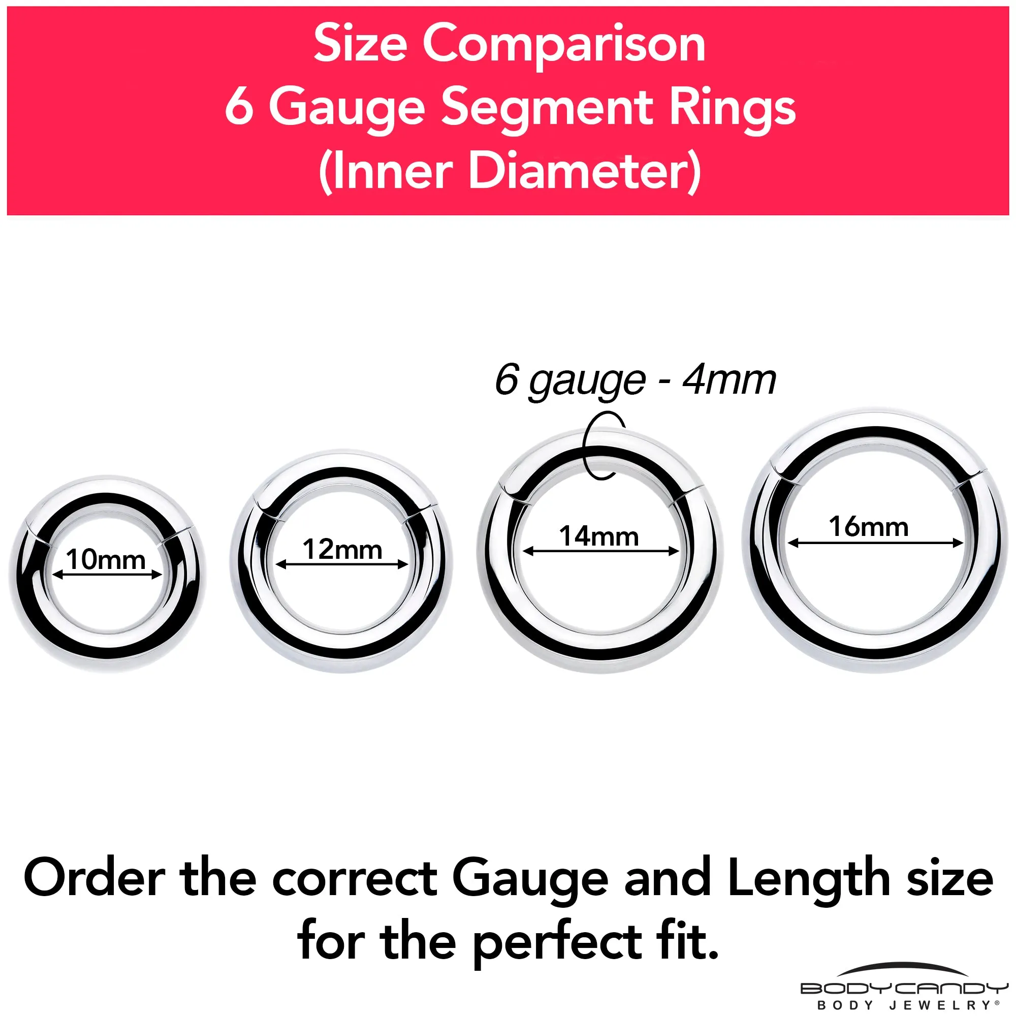 6 Gauge 3/8 316L Surgical Steel Precision Hinged Segment Hoop