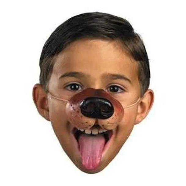 Dog Nose