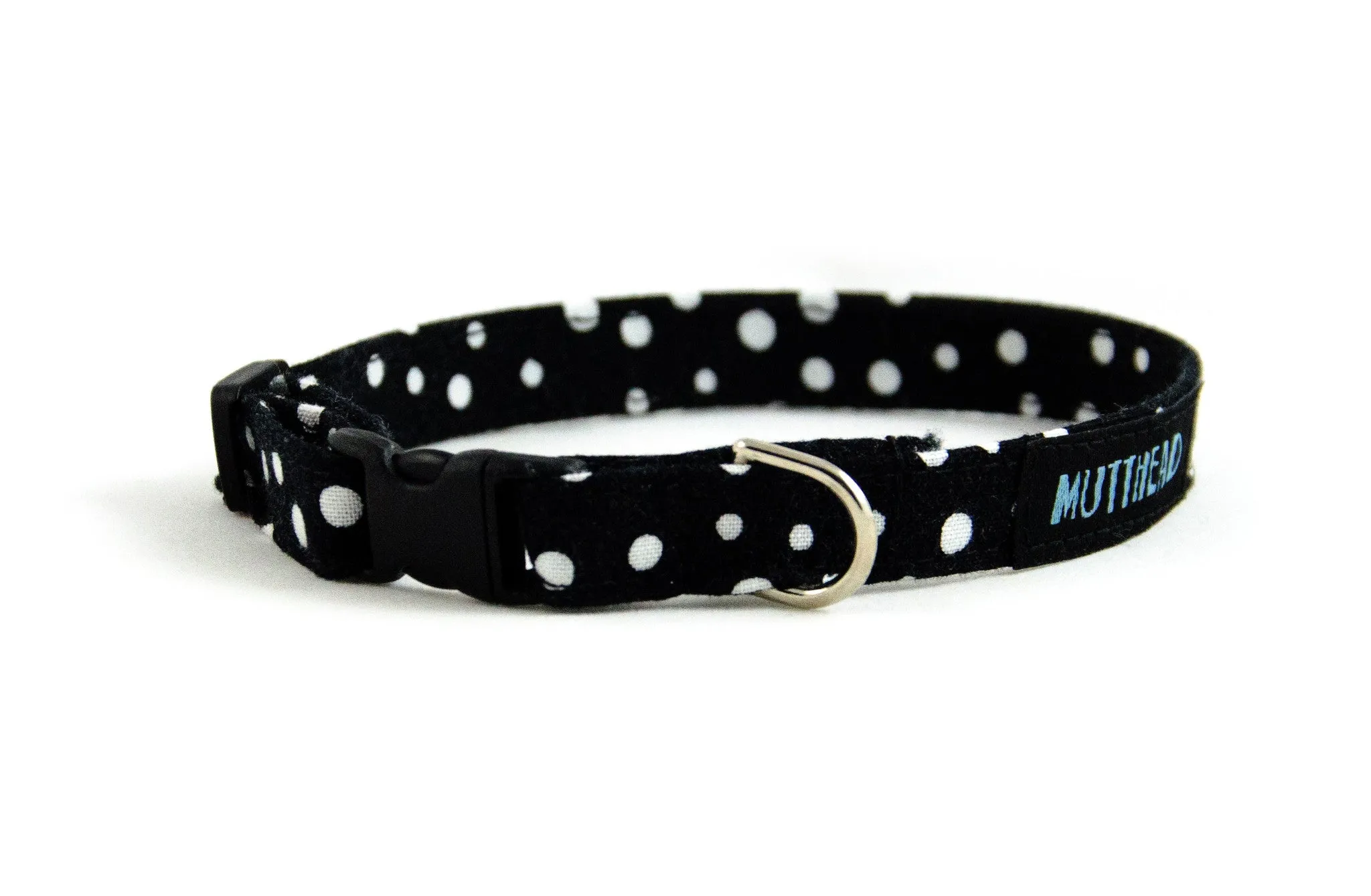 Extra Small Dog Collar in Edison