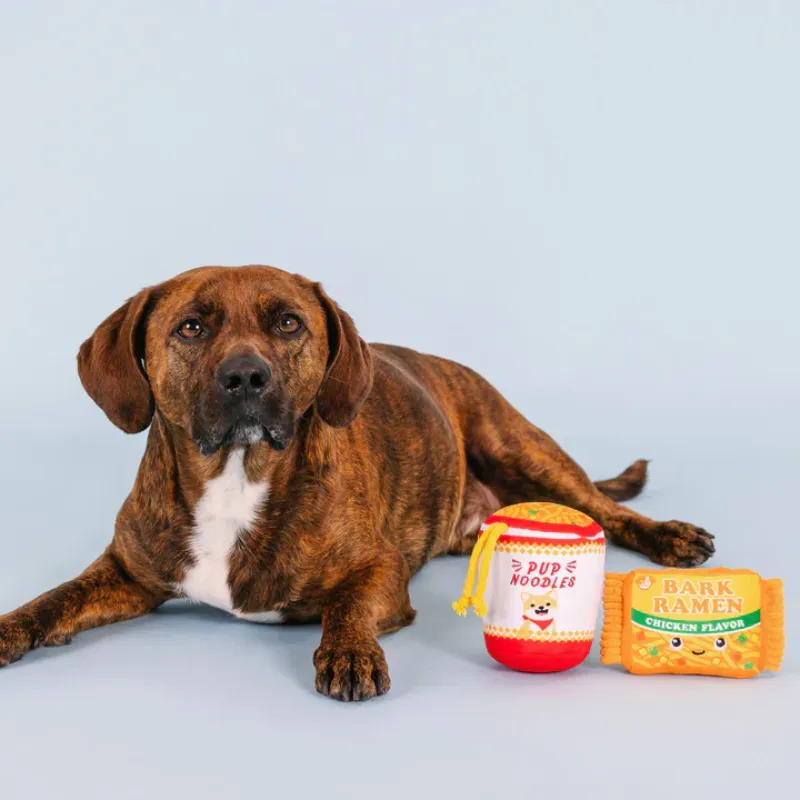 Fringe Studio - Nothin But Noodles - 2pc Dog Toy Set