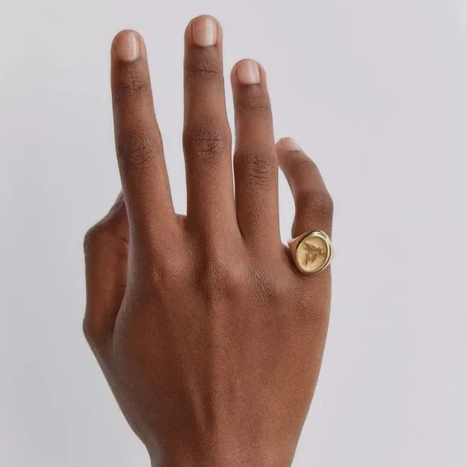 Grandfather Fantasy Flying Pig Signet Ring