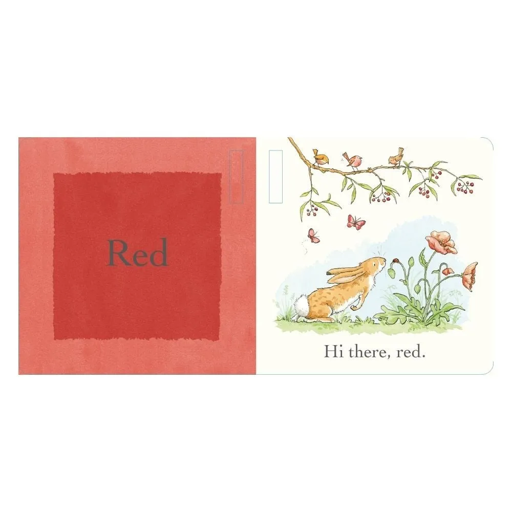 Guess How Much I Love You Colours Buggy Book