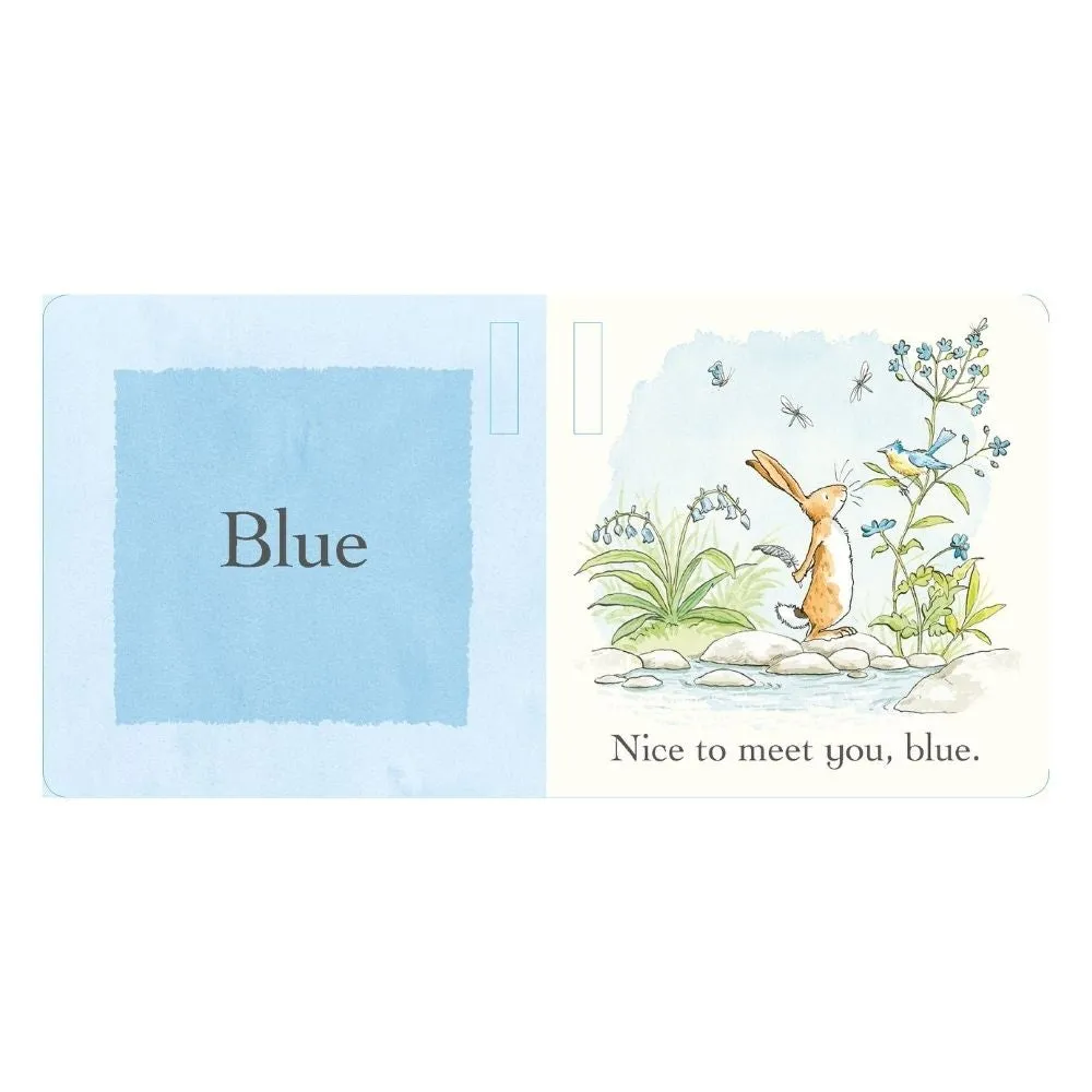Guess How Much I Love You Colours Buggy Book