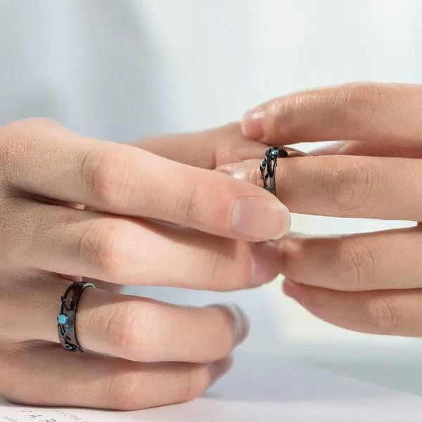 Milky Way Encounter Rings
