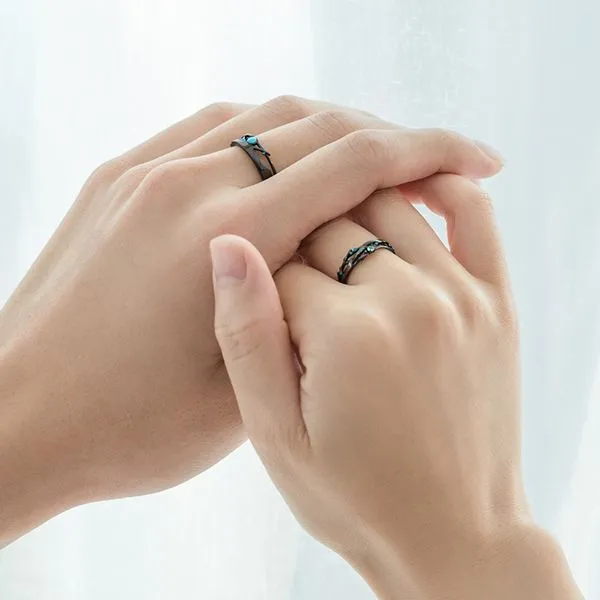 Milky Way Encounter Rings