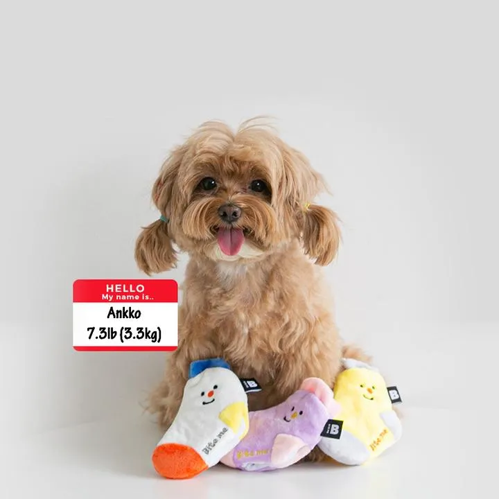 Socks Nose Work Dog Toy