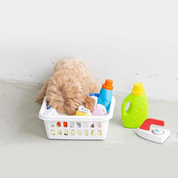Socks Nose Work Dog Toy