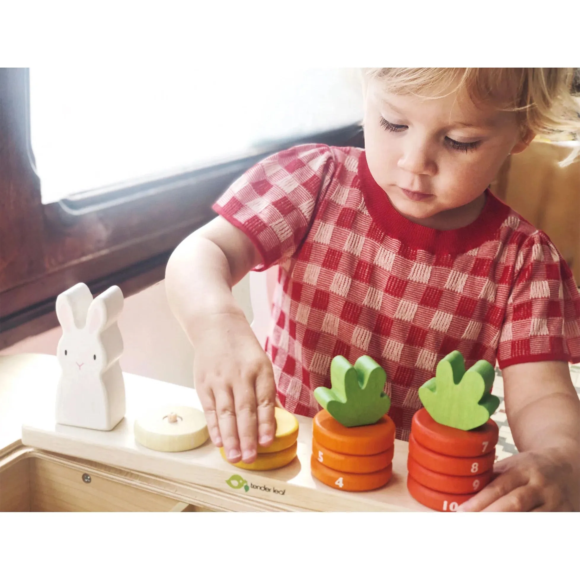 Tender Leaf Toys Counting Carrots