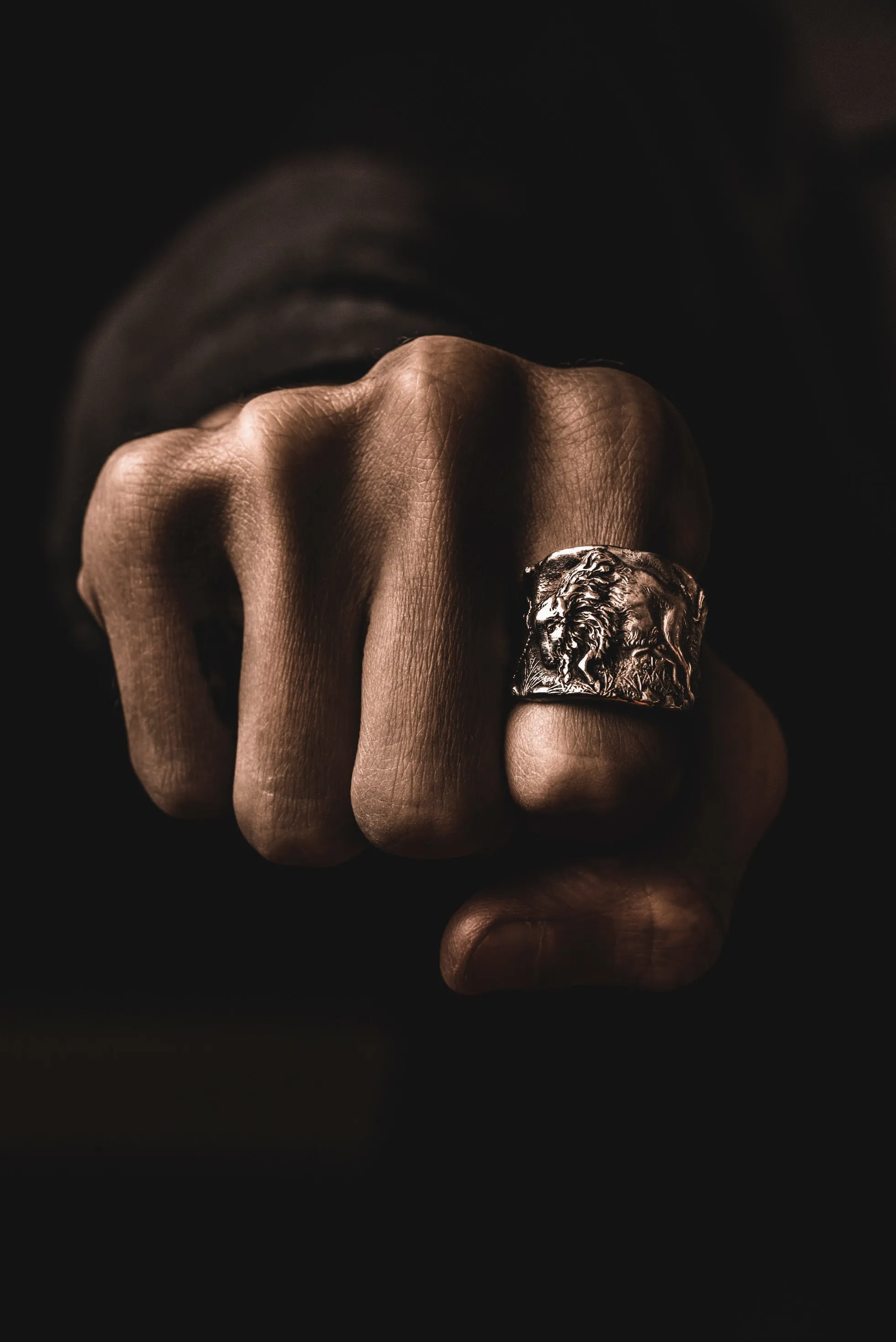The Bison Ring