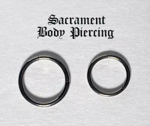 Titanium hinged clicker style ring - plain - non gemmed