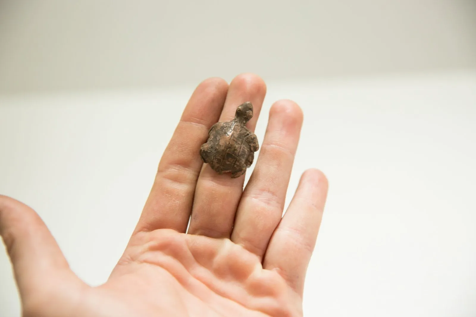 Vintage African Bronze Turtle Ring